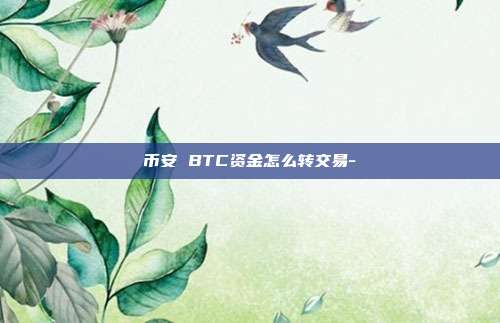 币安 BTC资金怎么转交易-