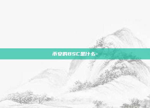 币安的BSC是什么-