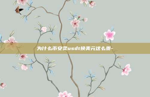 为什么币安卖usdt换美元这么贵-