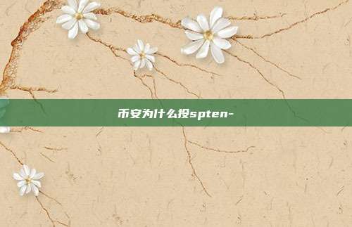 币安为什么投spten-