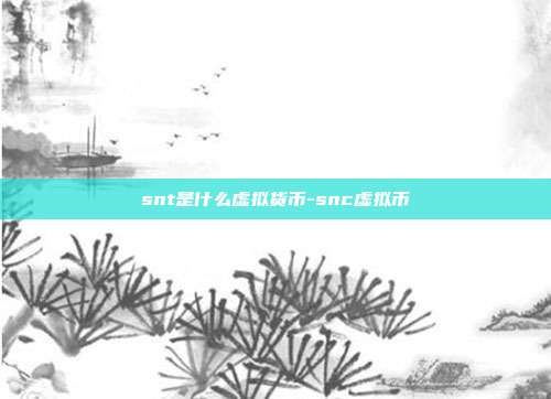 snt是什么虚拟货币-snc虚拟币