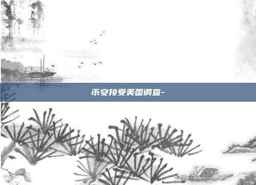 币安接受美国调查-