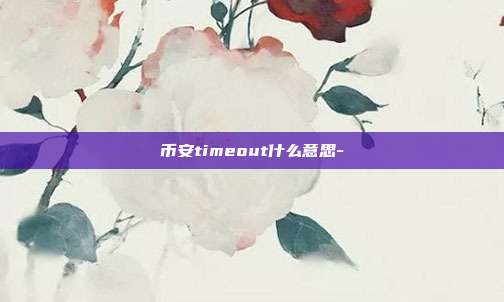 币安timeout什么意思-