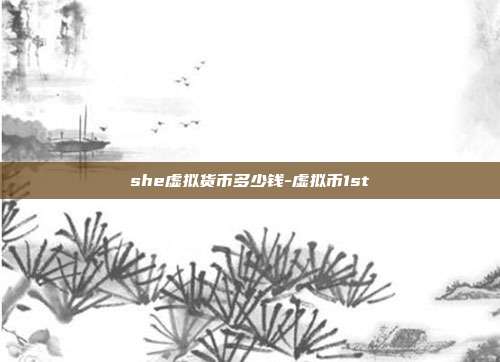 she虚拟货币多少钱-虚拟币1st