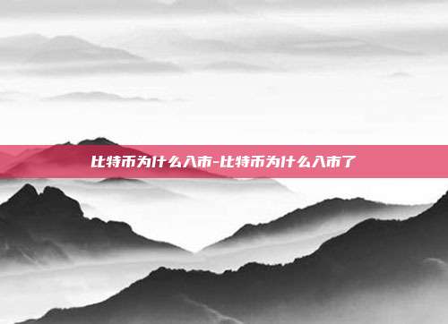 比特币为什么入市-比特币为什么入市了