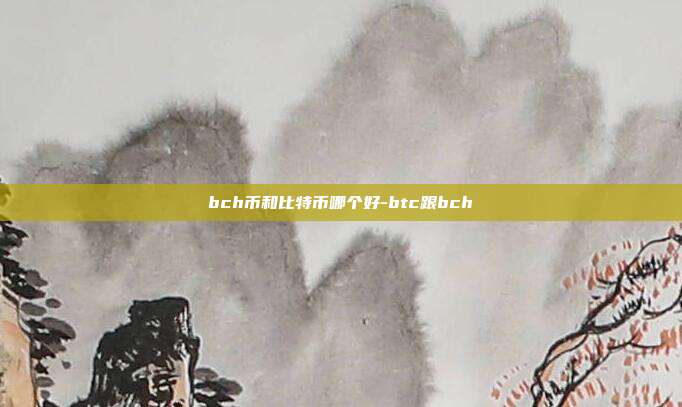 bch币和比特币哪个好-btc跟bch