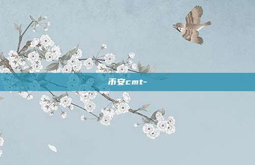 币安cmt-