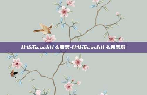 比特币cash什么意思-比特币cash什么意思啊