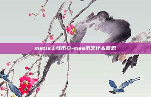 metis上线币安-mes币是什么意思