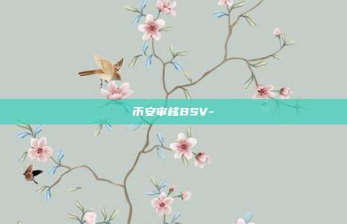 币安审核BSV-