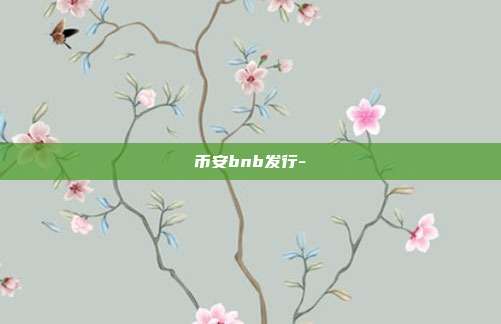 币安bnb发行-