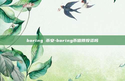 boring 币安-boring币值得投资吗