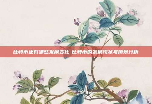 比特币还有哪些发展变化-比特币的发展现状与前景分析