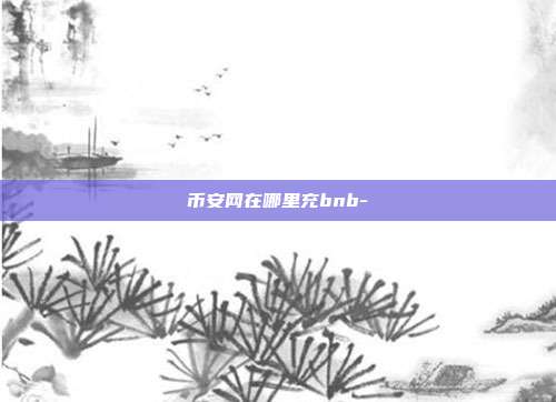 币安网在哪里充bnb-