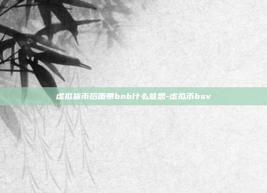 虚拟货币后面带bnb什么意思-虚拟币bsv