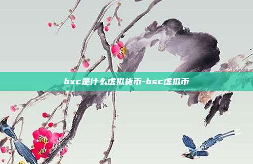 bxc是什么虚拟货币-bsc虚拟币