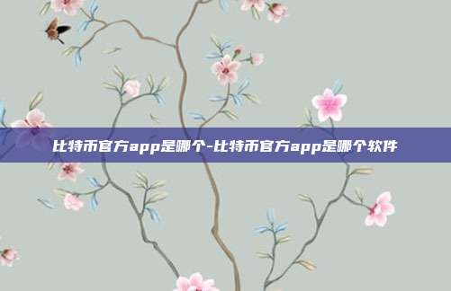 比特币官方app是哪个-比特币官方app是哪个软件