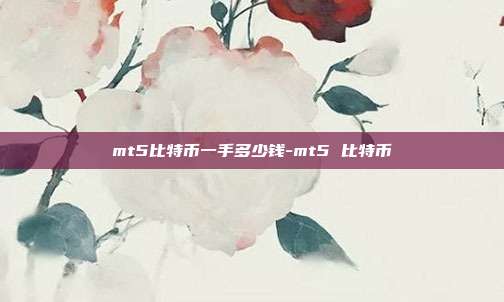 mt5比特币一手多少钱-mt5 比特币