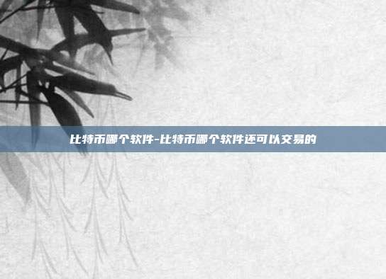 比特币哪个软件-比特币哪个软件还可以交易的