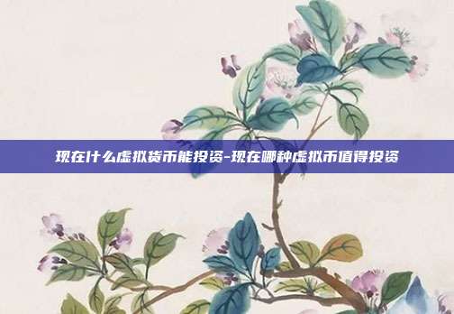 现在什么虚拟货币能投资-现在哪种虚拟币值得投资