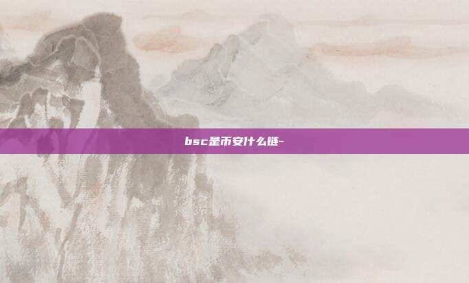 bsc是币安什么链-