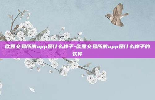 欧意交易所的app是什么样子-欧意交易所的app是什么样子的软件