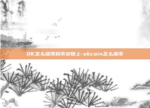 OK怎么提现到币安链上-okcoin怎么提币