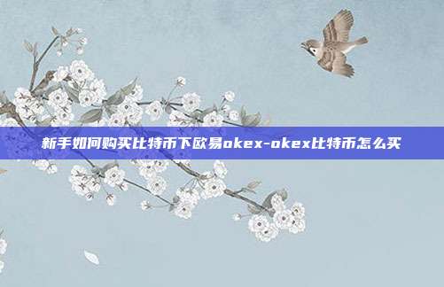 新手如何购买比特币下欧易okex-okex比特币怎么买