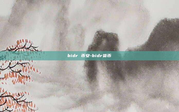 bidr 币安-bidr货币