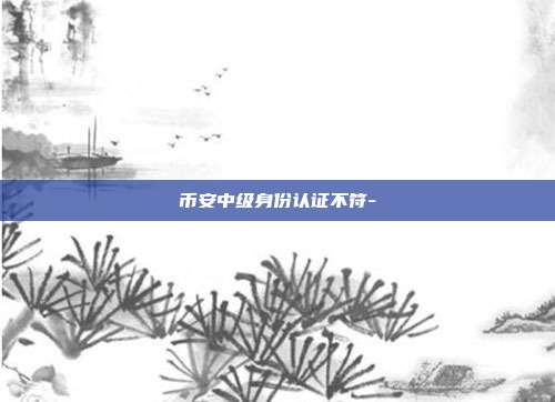 币安中级身份认证不符-